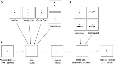 The Effects of Martial Arts Training on Attentional Networks in Typical Adults